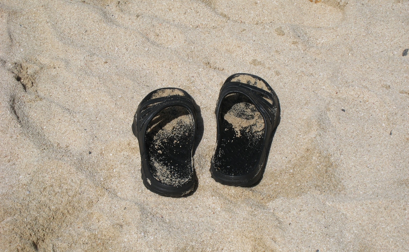 img_3200.jpg